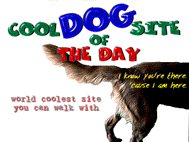 coolrakutailsmalltitle.gif (10797 bytes)